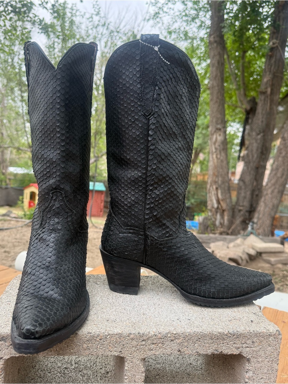Dan Post Women’s Exotic Black Python Embossed Western Boots